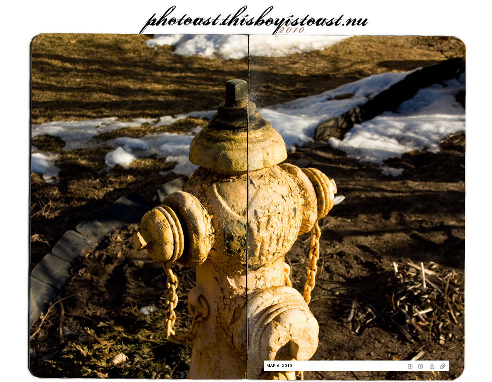 Mar 06 2010